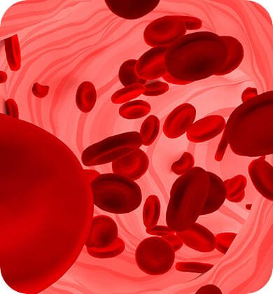 Increases blood flow