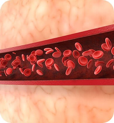 Maintains erection firmness