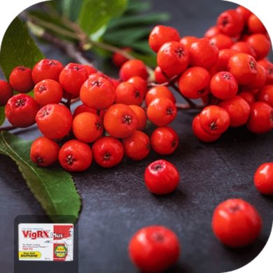 Hawthorne Berry